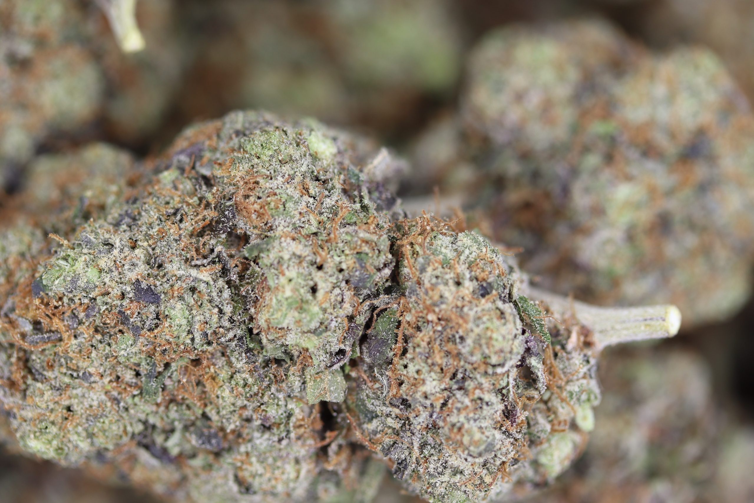God’s Bubba Indica Cannabis Flower God’s Bubba Indica Cannabis Flower