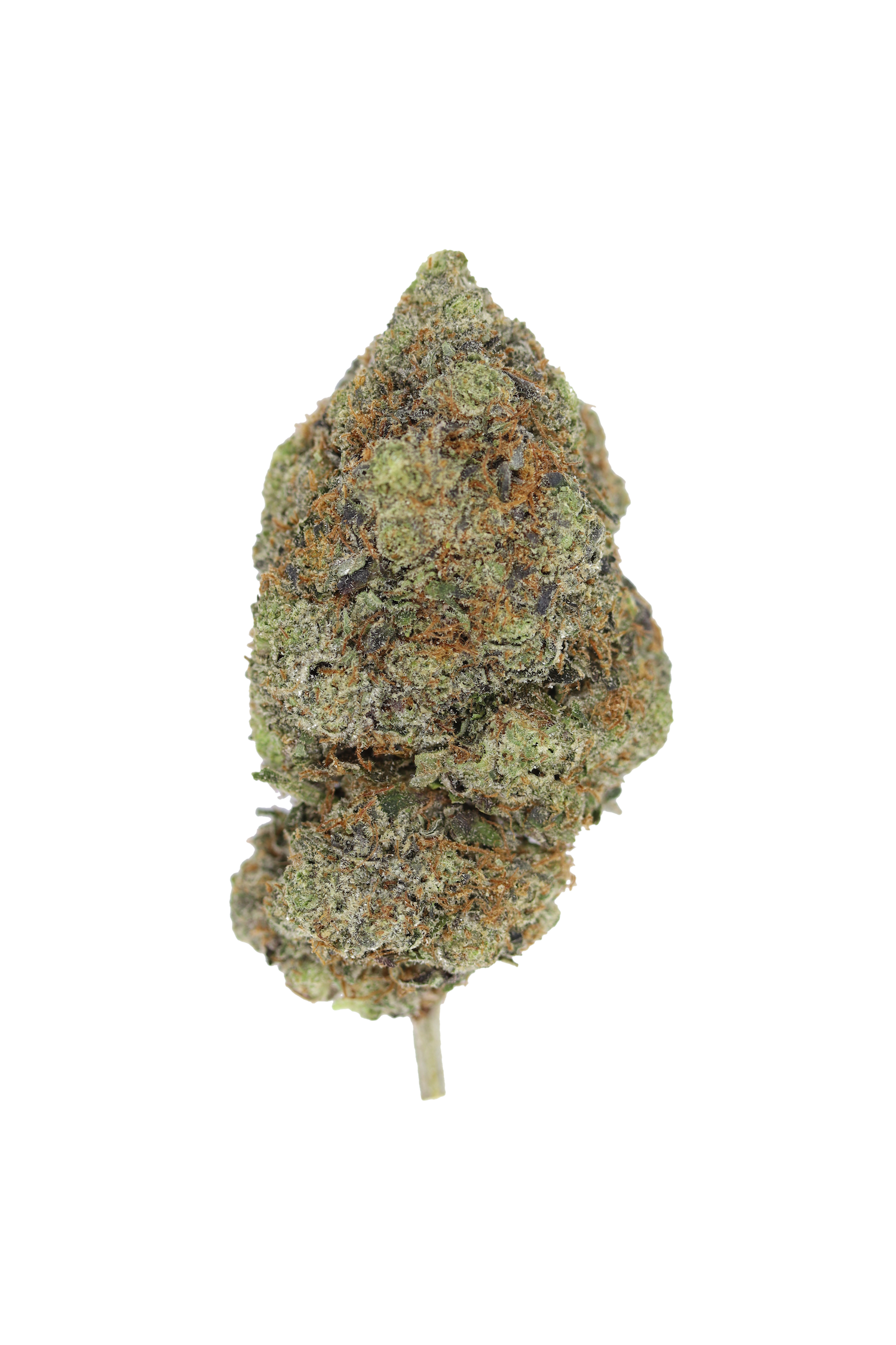 God’s Bubba Indica Cannabis Flower God’s Bubba Indica Cannabis Flower