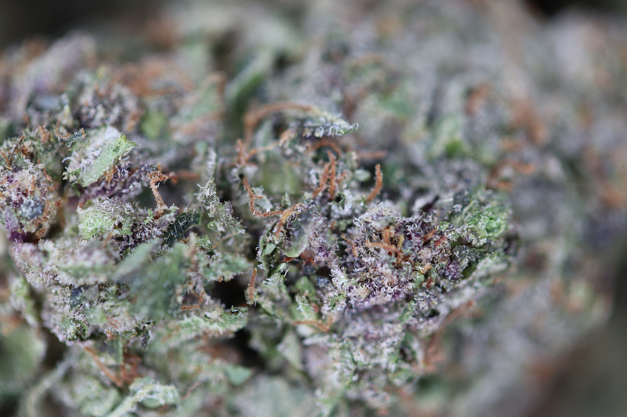 Lindsay OG All Strains Anxiety Reduction Lindsay OG All Strains Anxiety Reduction