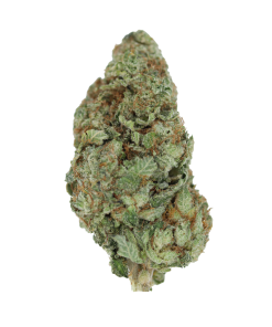buy orange crush online