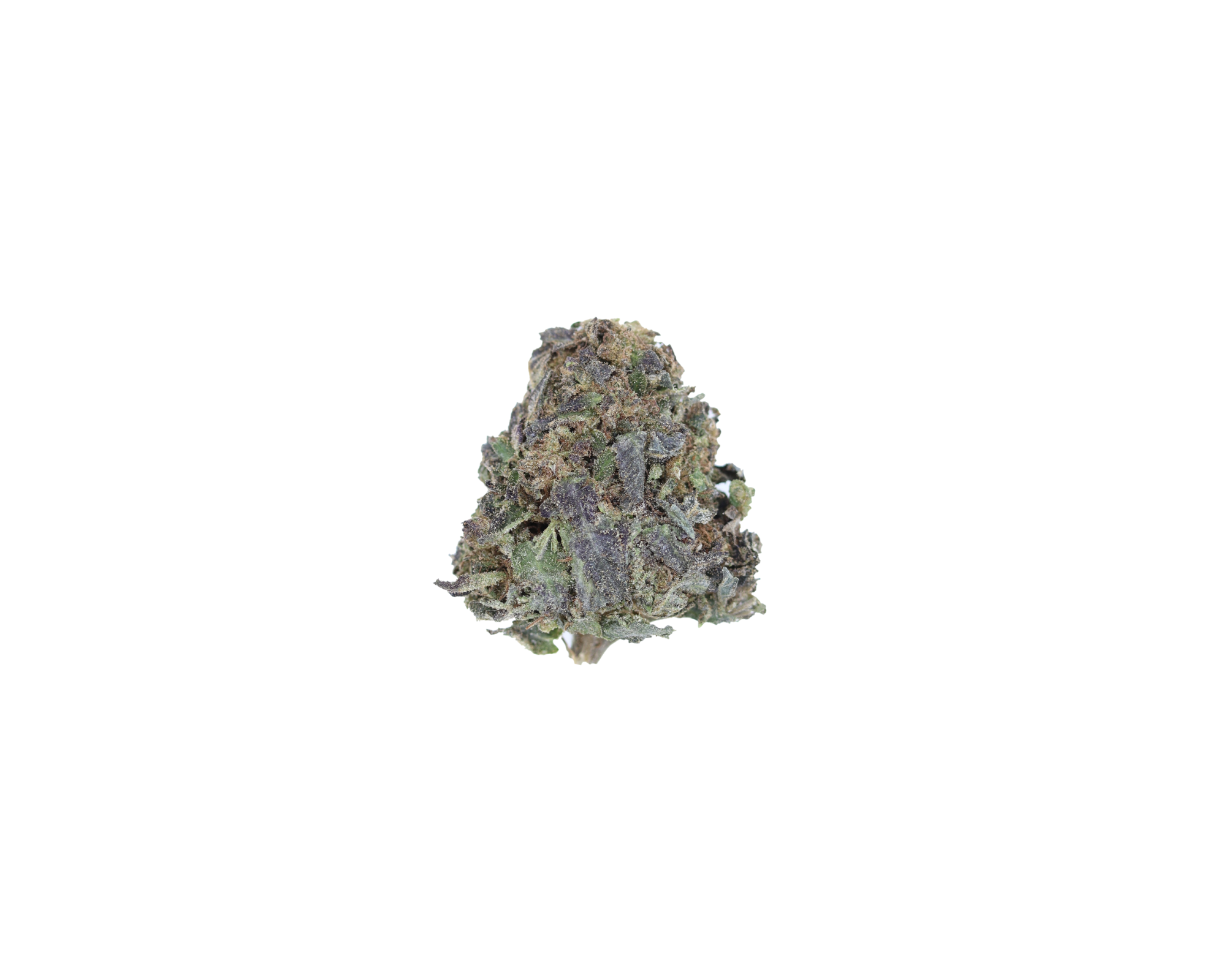 Paris OG (1/2lb) Bulk Anxiety Reduction Paris OG (1/2lb) Bulk Anxiety Reduction