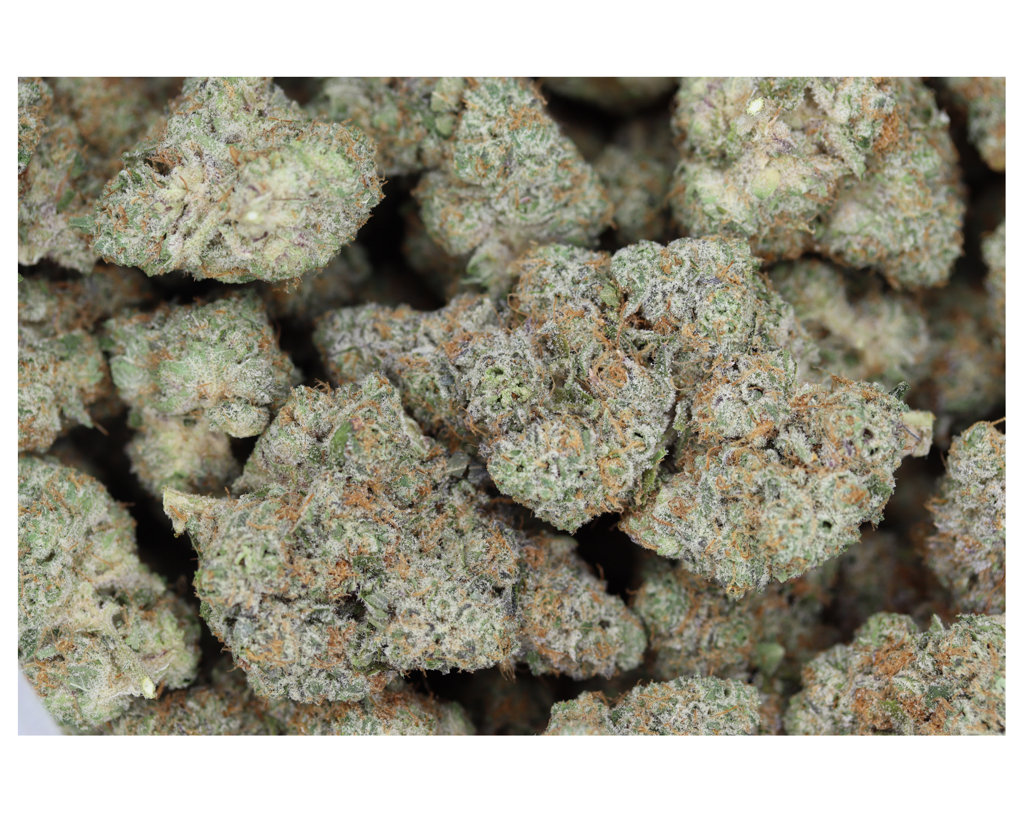 Pink Berry Hybrid Cannabis Flower Pink Berry Hybrid Cannabis Flower