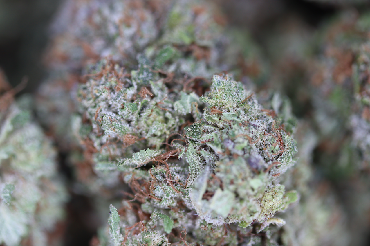 Pink Death Indica Cannabis Flower Pink Death Indica Cannabis Flower