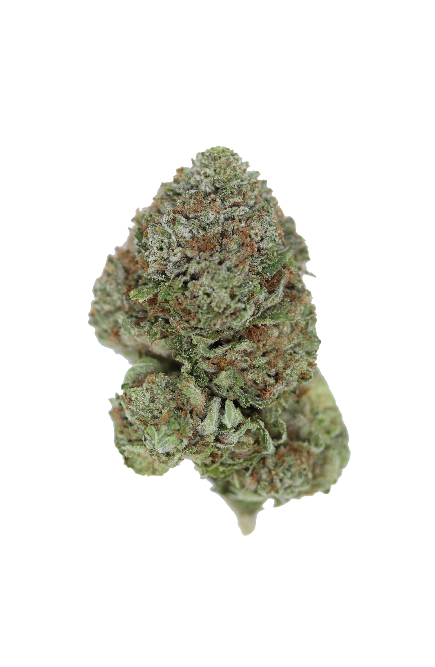 Pink Death Indica Cannabis Flower Pink Death Indica Cannabis Flower