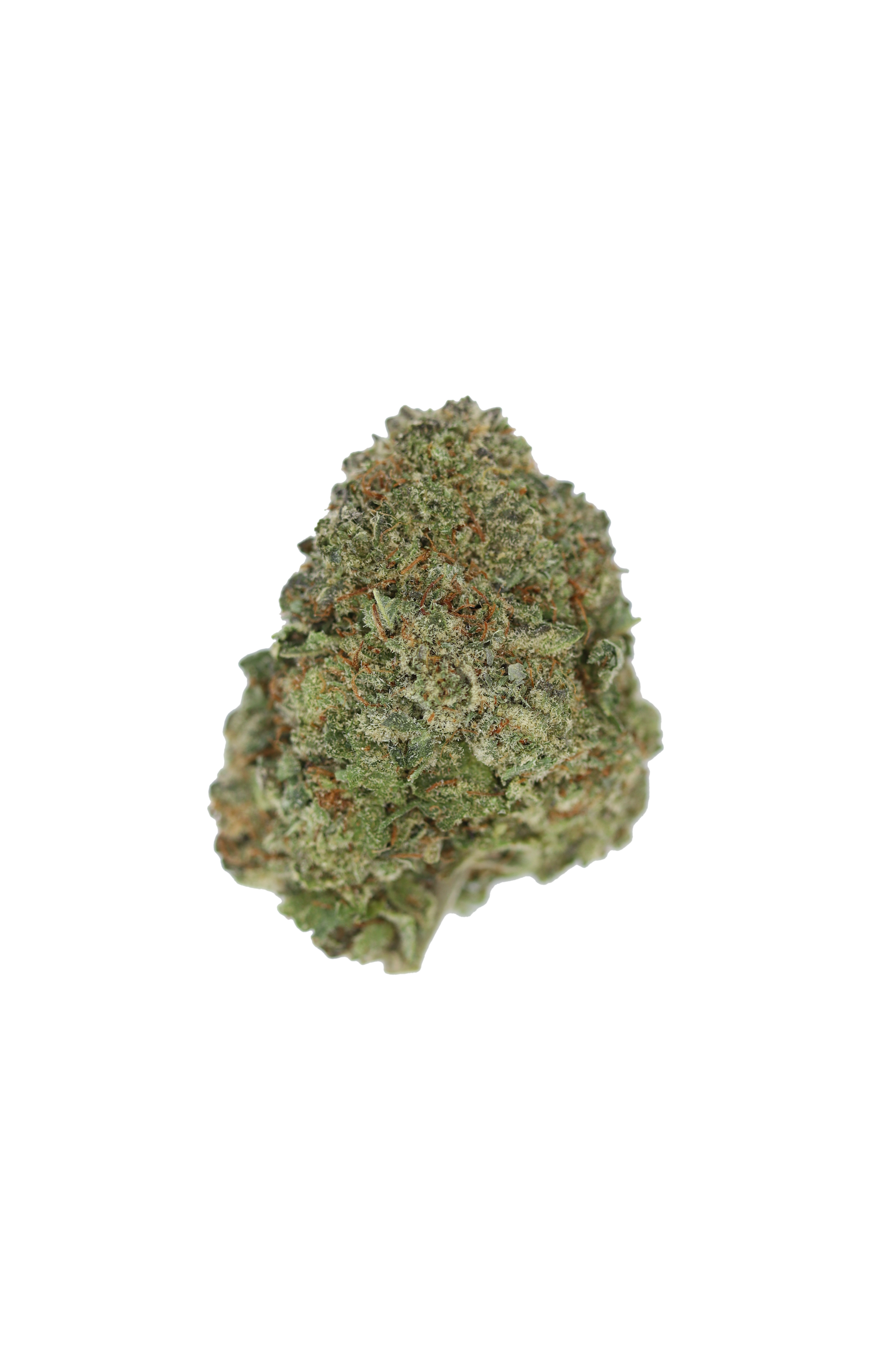 Purple Candy Kush Indica anxiety Purple Candy Kush Indica anxiety