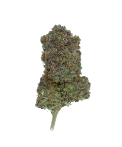 buy rainbow pie online