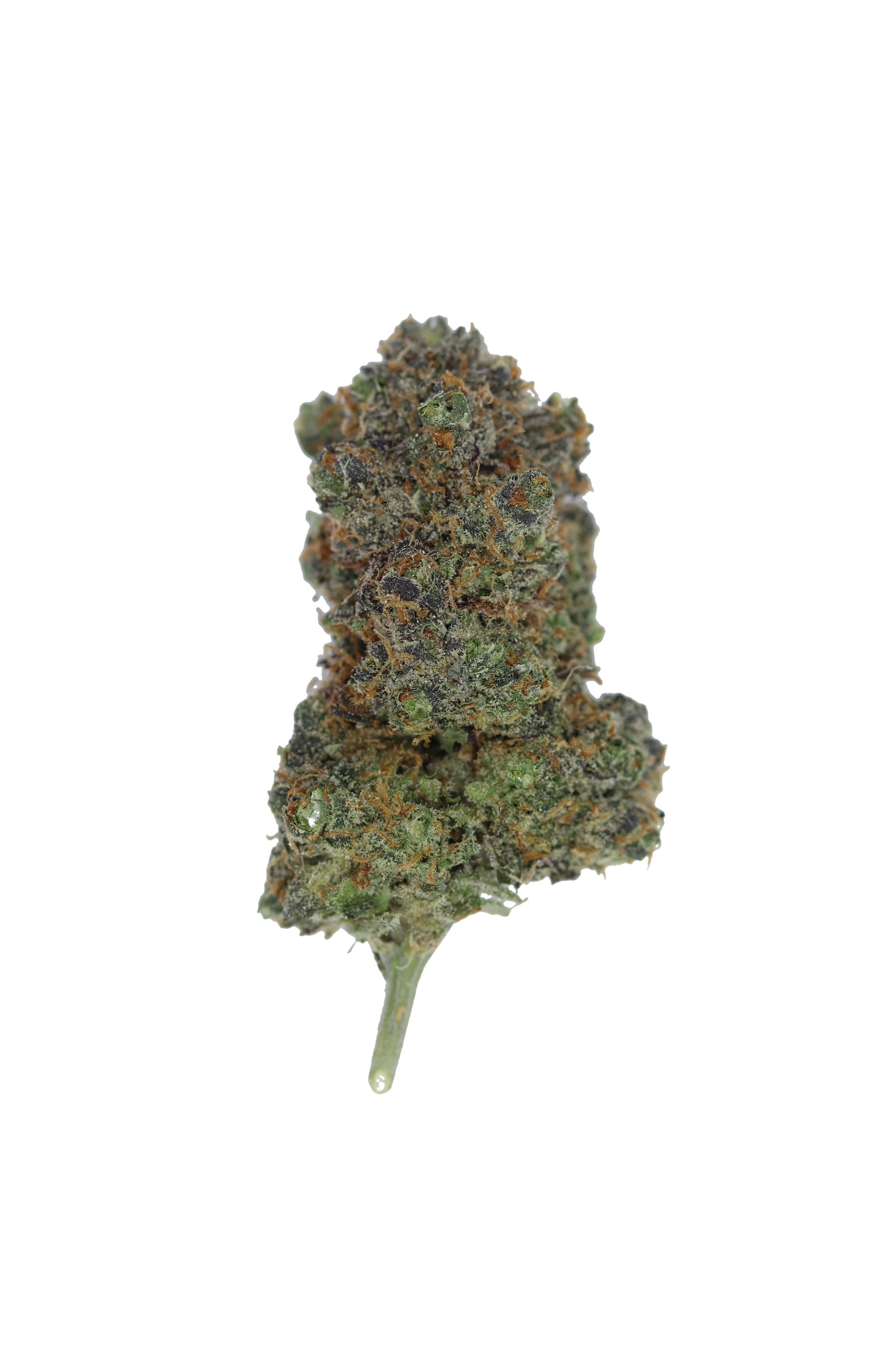 Rainbow Pie Hybrid Cannabis Flower Rainbow Pie Hybrid Cannabis Flower