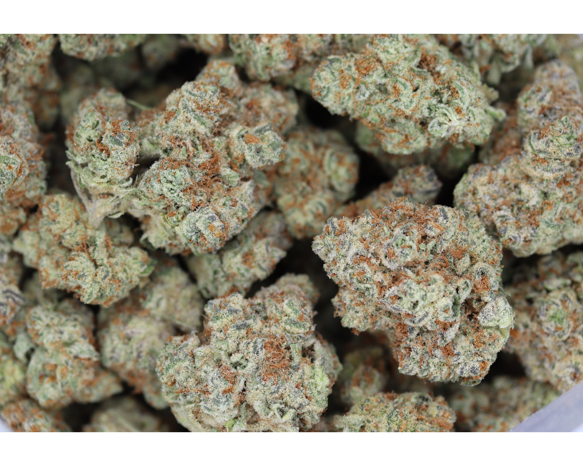 Raspberry Cream Cake Sativa Cannabis Flower Raspberry Cream Cake Sativa Cannabis Flower