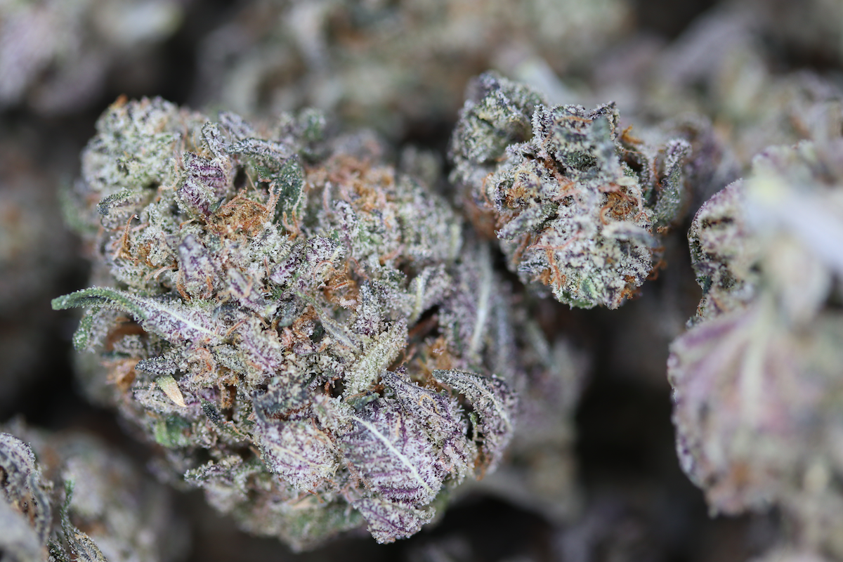 Raspberry Mint Indica Berry Raspberry Mint Indica Berry