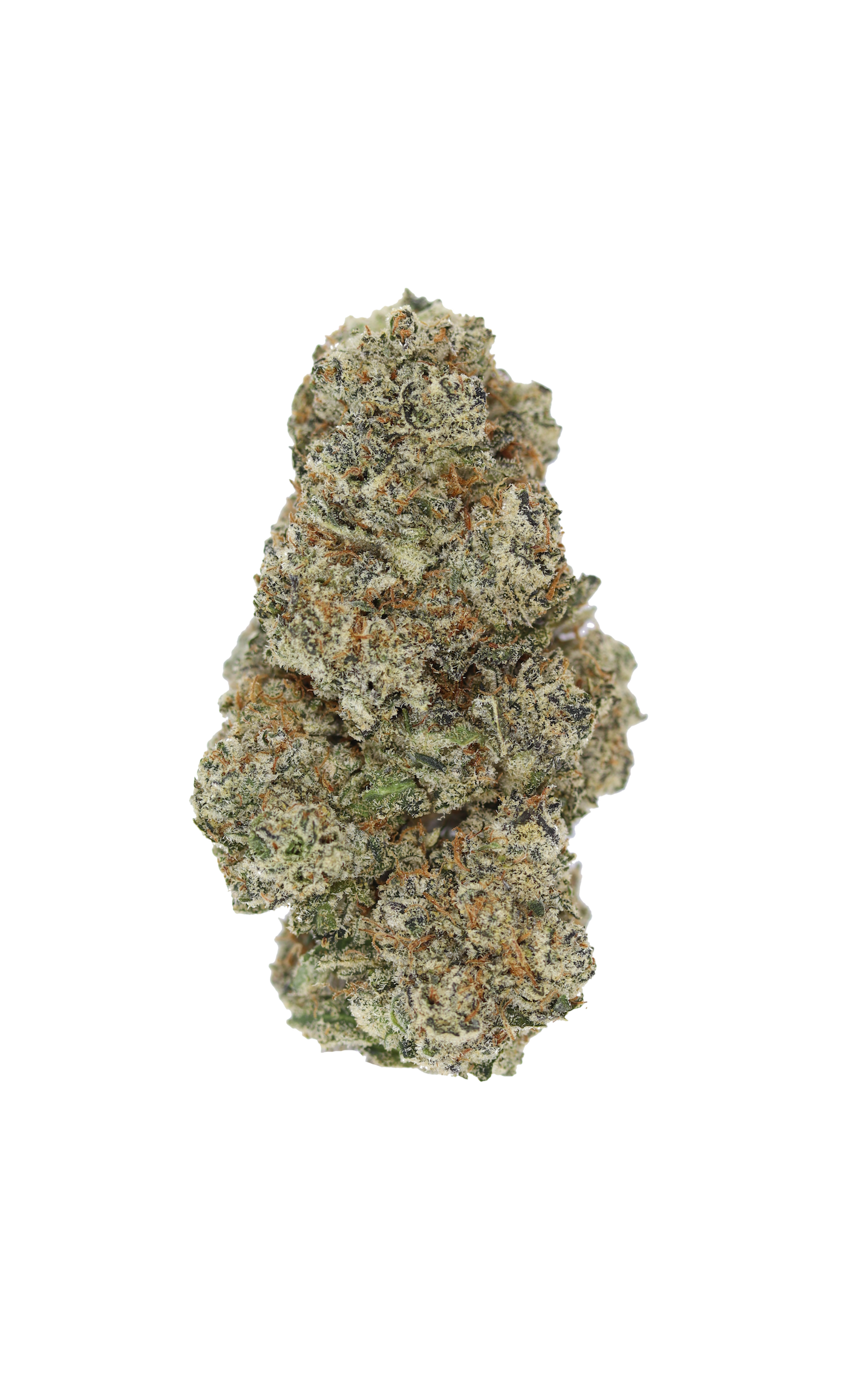 Starburst Hybrid Cannabis Flower Starburst Hybrid Cannabis Flower