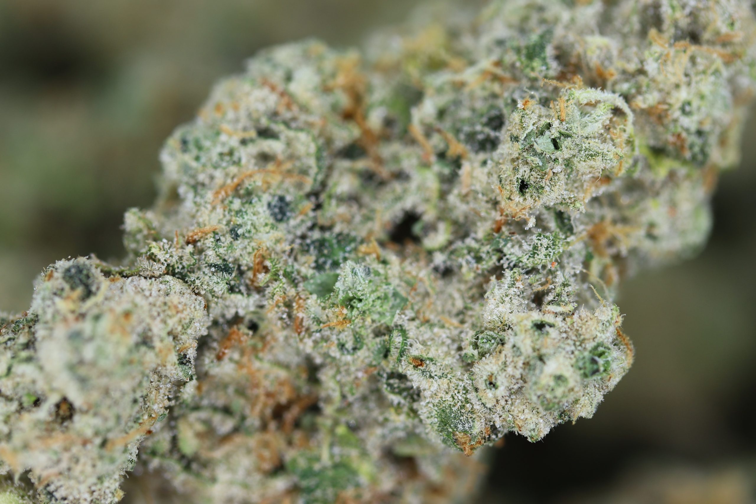 Sunshine OG Sativa Cannabis Flower Sunshine OG Sativa Cannabis Flower