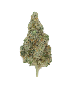 buy sunshine og online