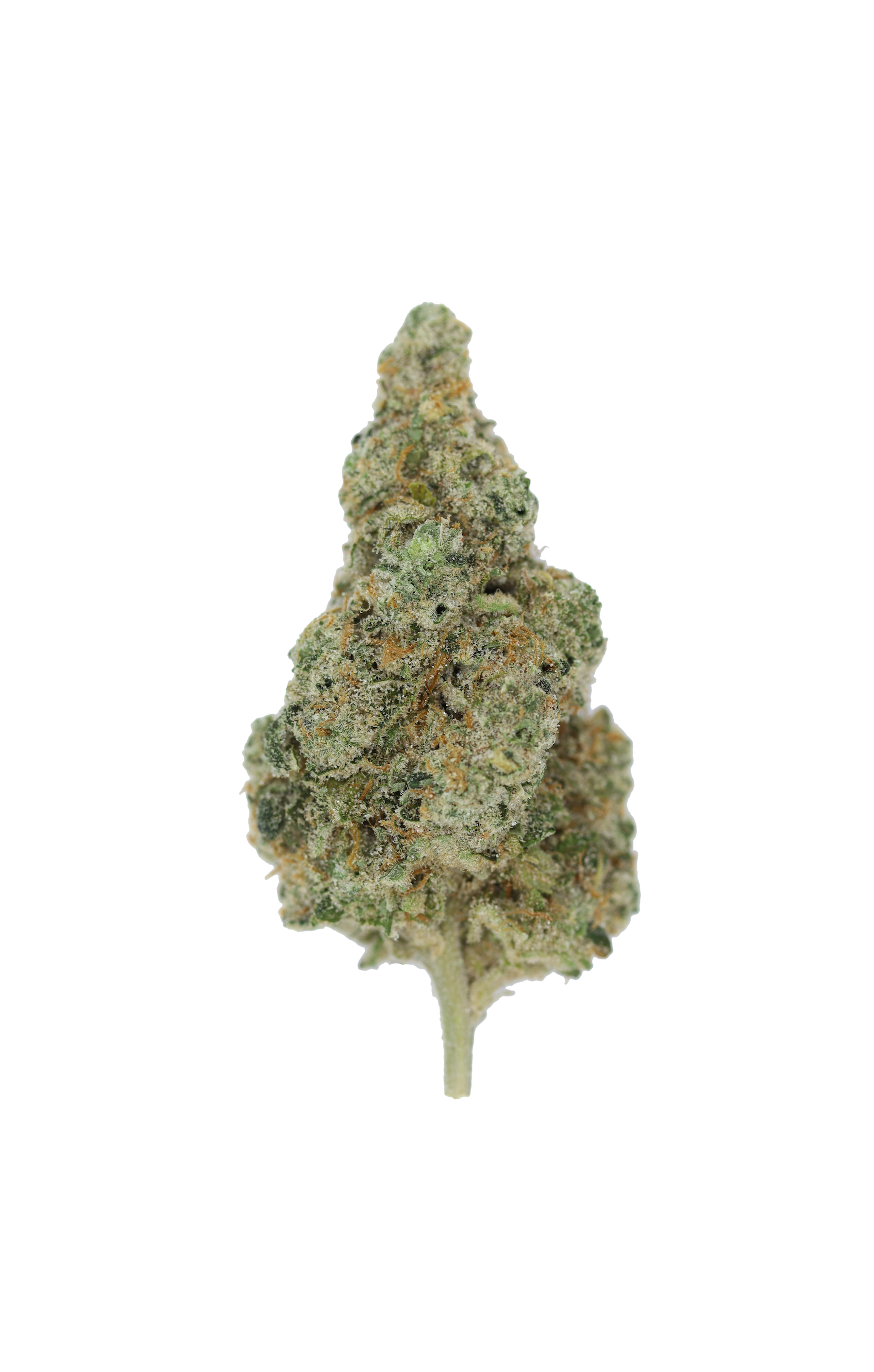 Sunshine OG Sativa Cannabis Flower Sunshine OG Sativa Cannabis Flower