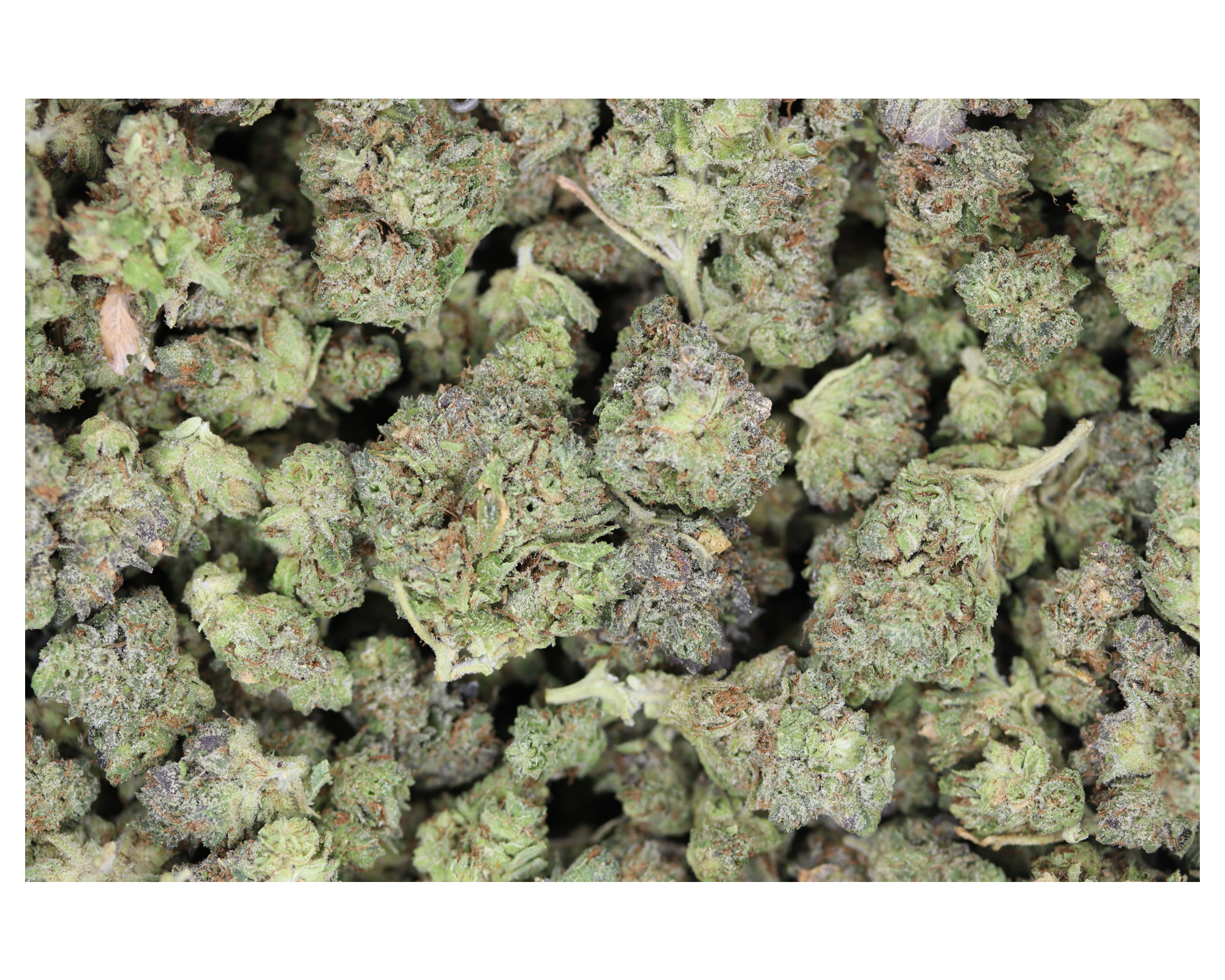 Tom Ford Smalls (LSO) Indica Appetite Boost Tom Ford Smalls (LSO) Indica Appetite Boost