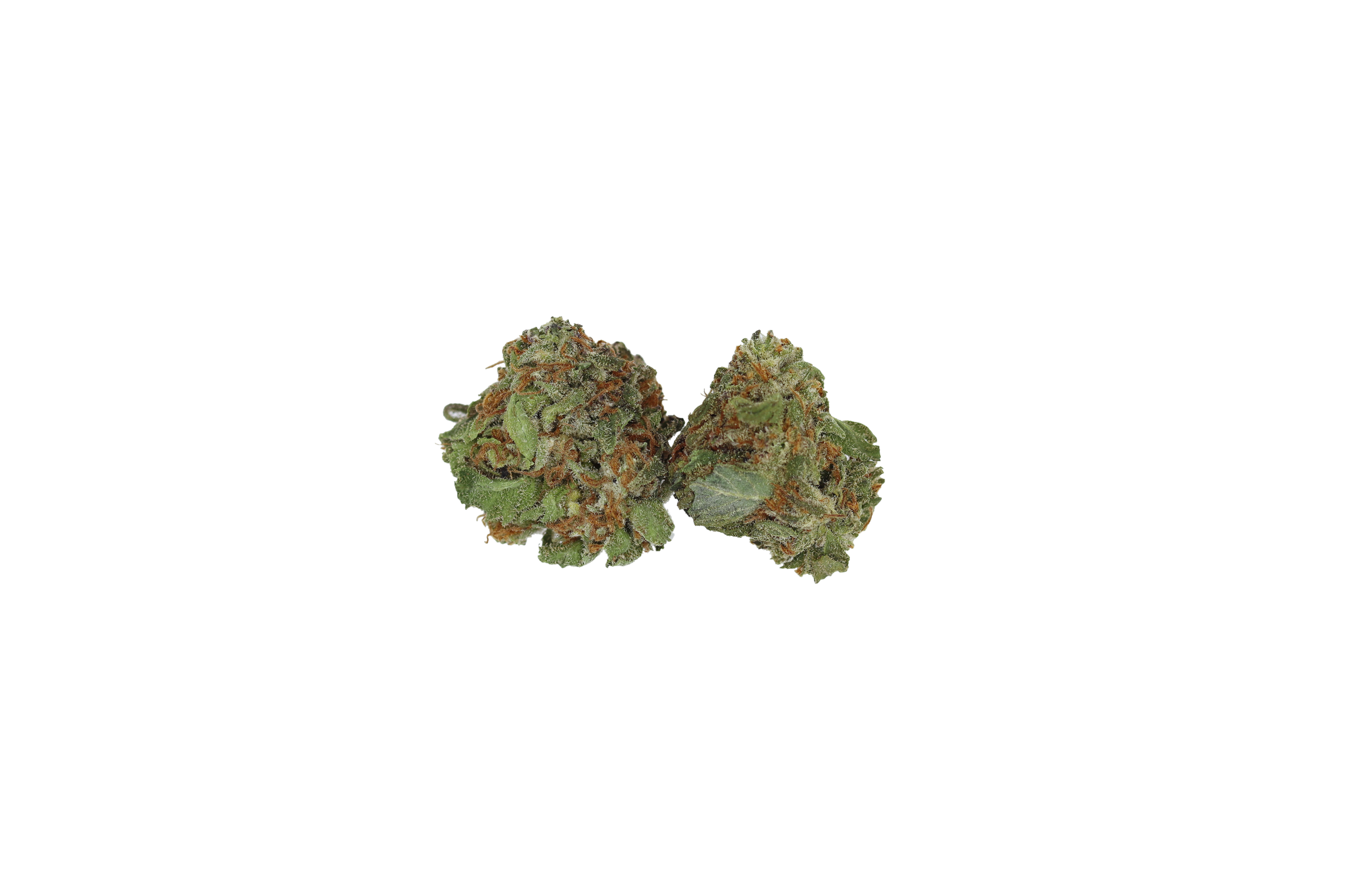 Wasabi Smalls (1/2lb) Hybrid Wasabi Smalls (1/2lb) Hybrid