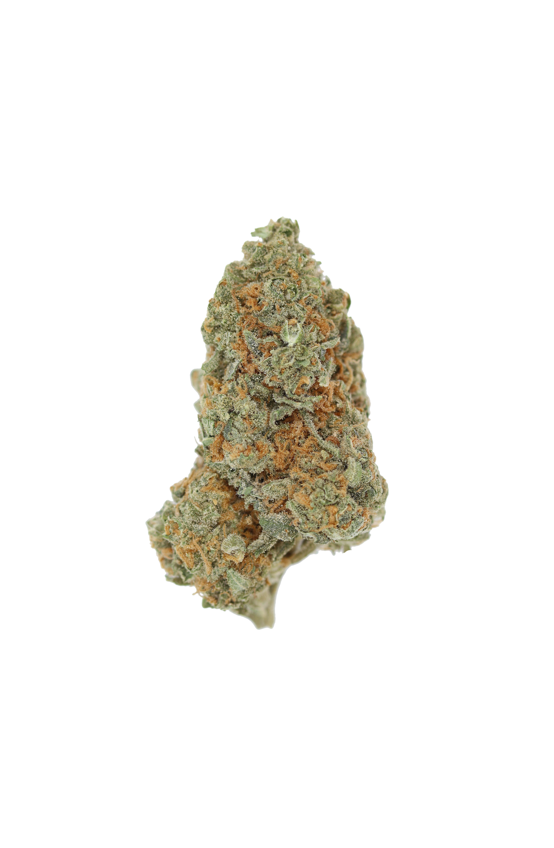 Agent Orange All Strains Agent Orange Agent Orange All Strains Agent Orange