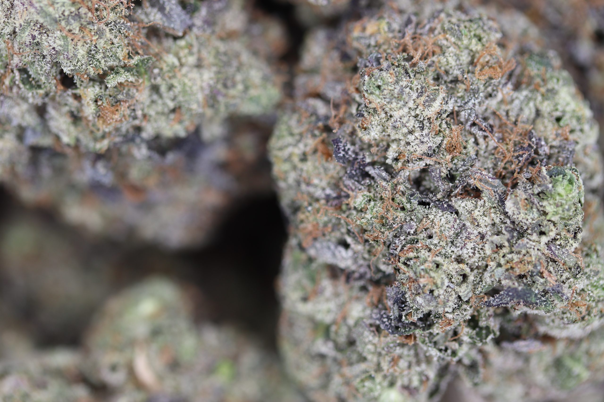 Bubba Muerte All Strains Bubba Muerte Bubba Muerte All Strains Bubba Muerte