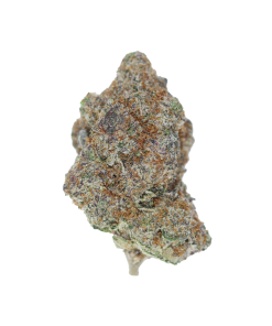 buy gummy bunz online