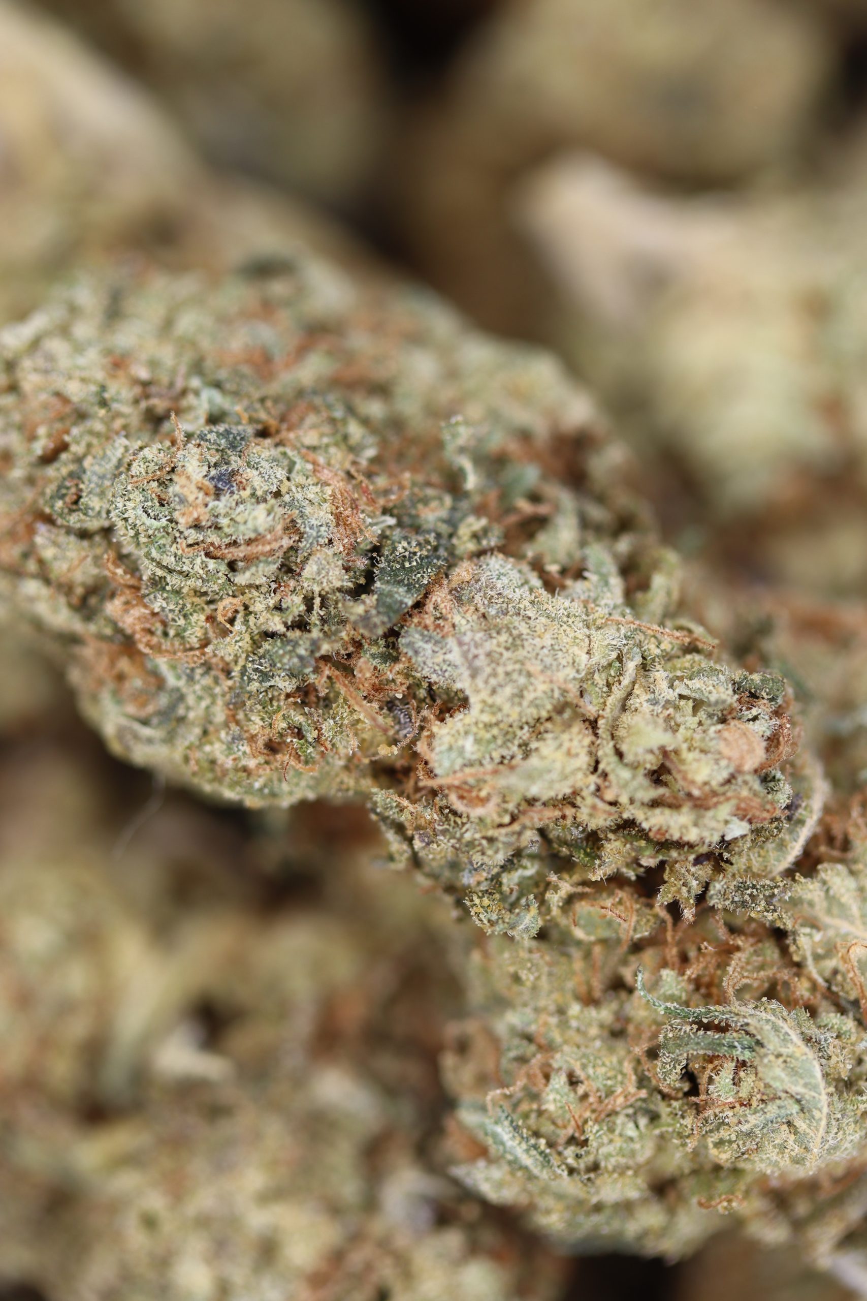 OMFG All Strains Cannabis Flower OMFG All Strains Cannabis Flower