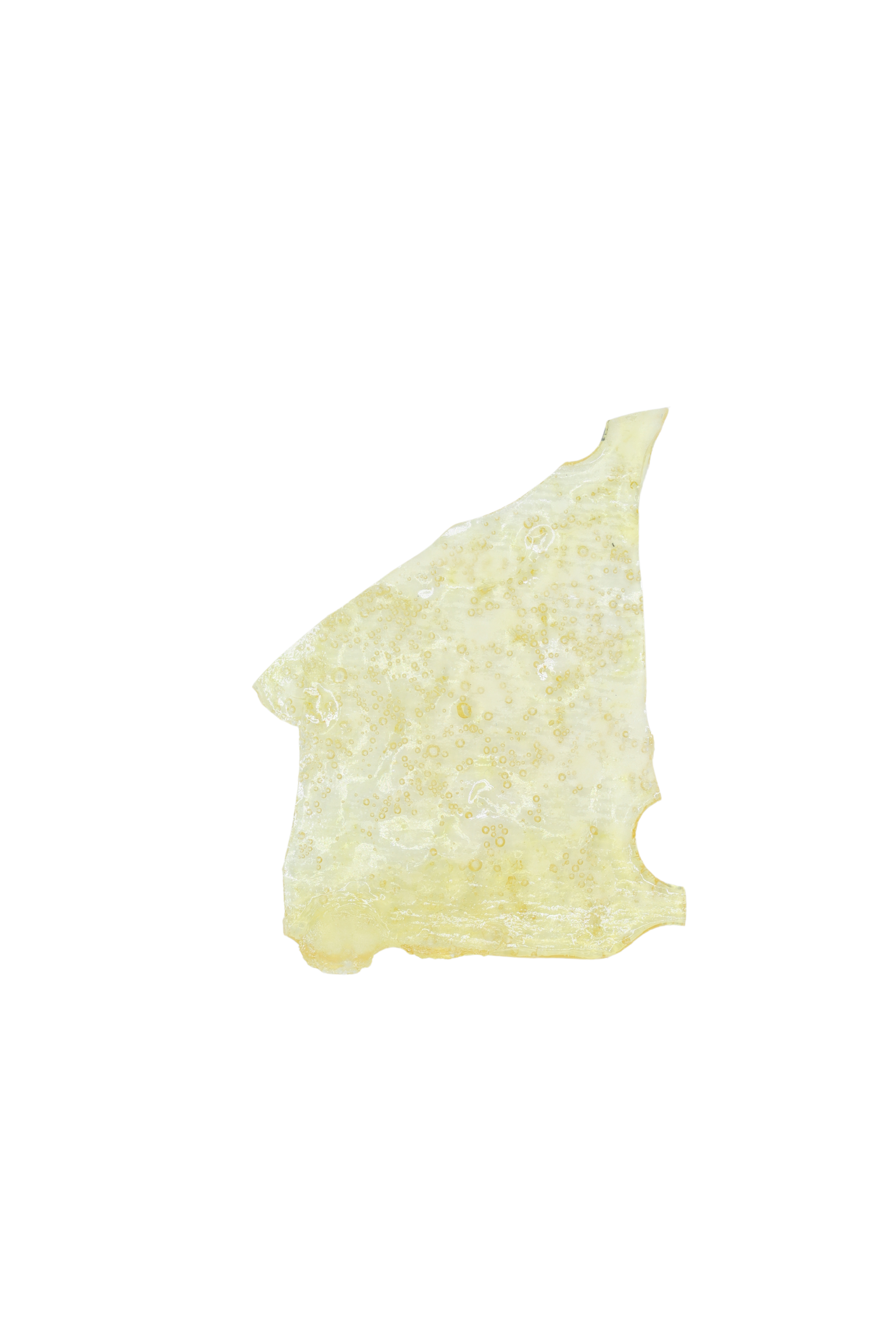 Purple Mimosa Shatter Concentrates Cannabis Concentrate Purple Mimosa Shatter Concentrates Cannabis Concentrate