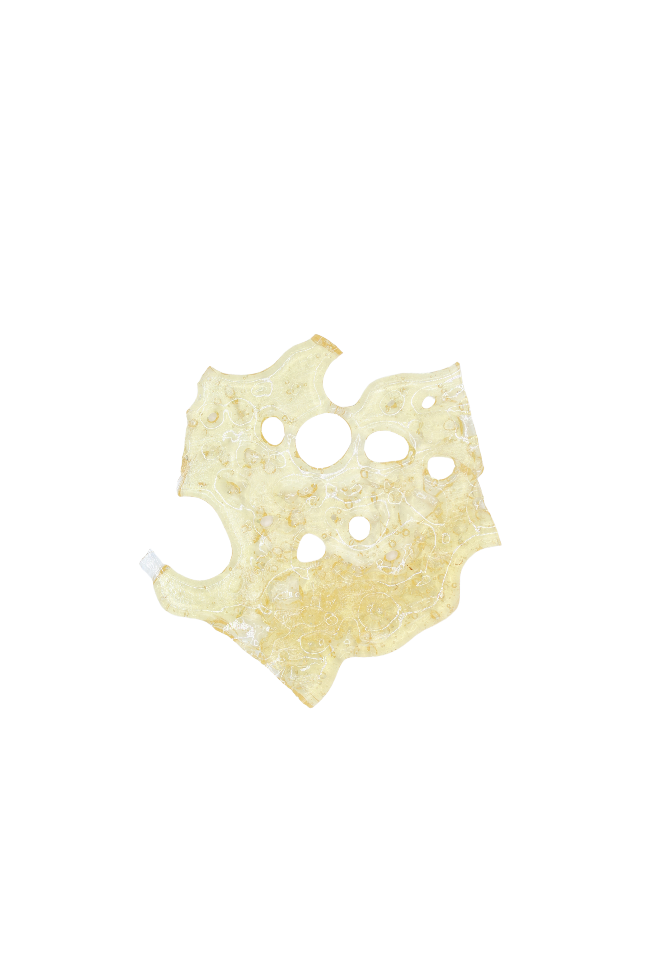 Tuna Kush Shatter Shatter Cannabis Concentrate Tuna Kush Shatter Shatter Cannabis Concentrate