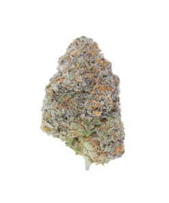 buy black cherry haze online