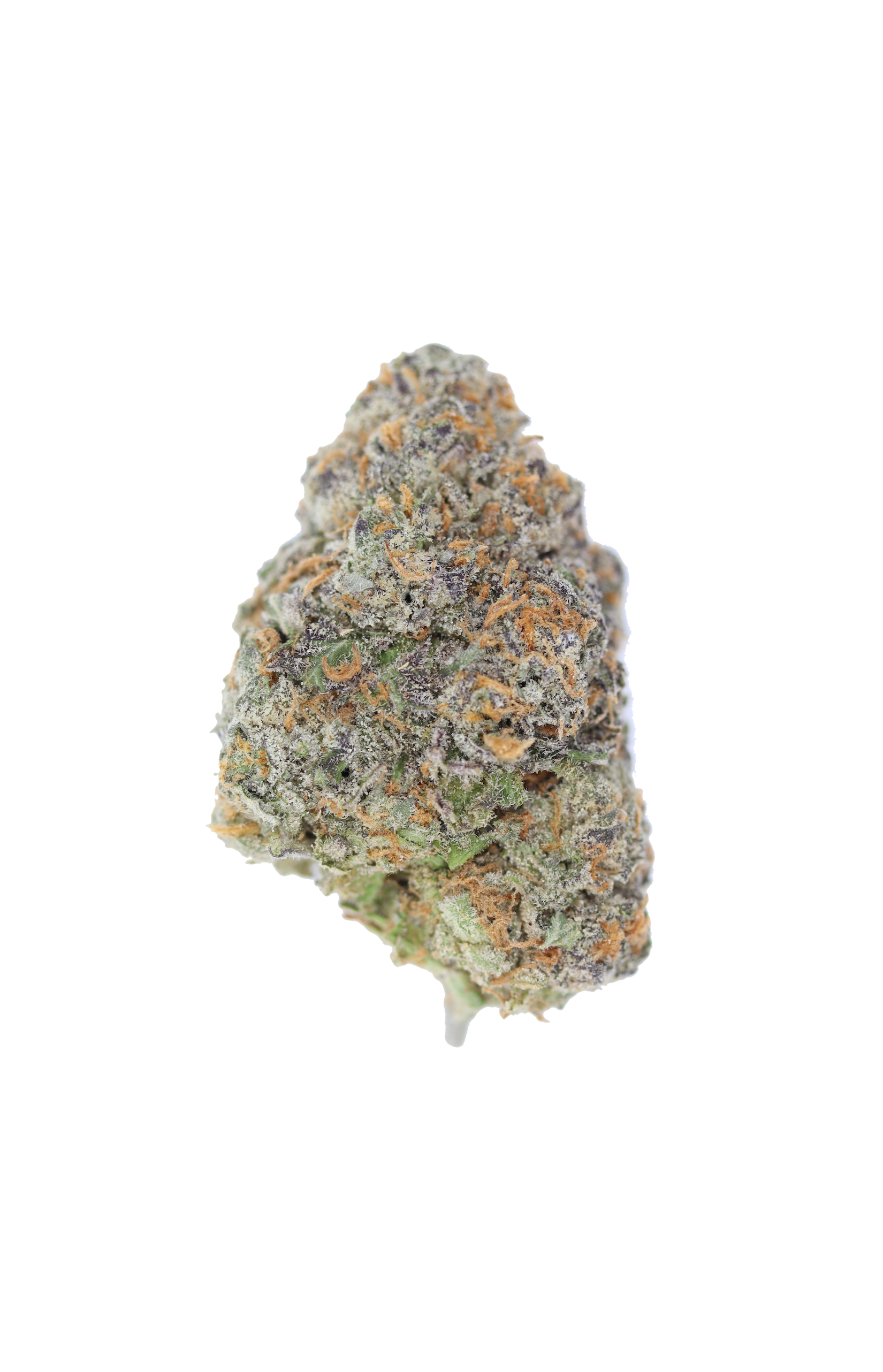 Black Cherry Haze All Strains Black Cherry Haze Black Cherry Haze All Strains Black Cherry Haze