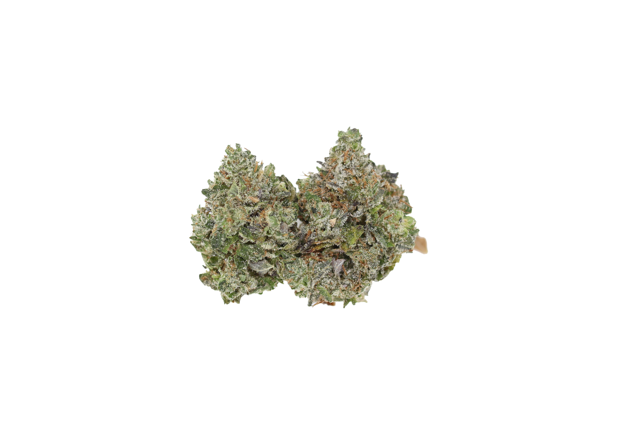 MKU Smalls (1/2lb) Bulk Cannabis Flower MKU Smalls (1/2lb) Bulk Cannabis Flower