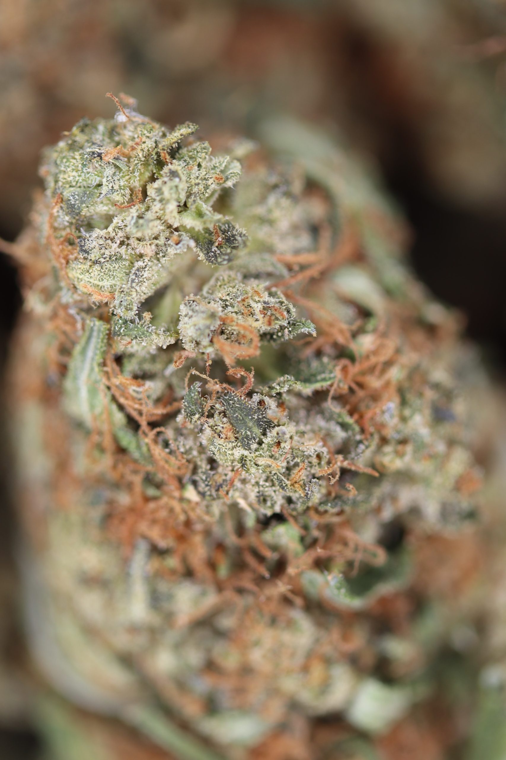 NYC Diesel All Strains Cannabis Flower NYC Diesel All Strains Cannabis Flower