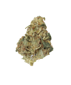 buy pinetar online