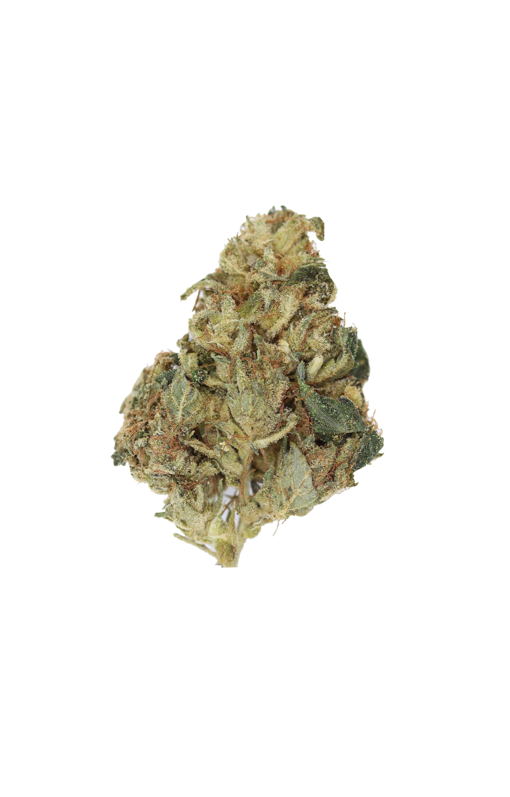 Pinetar All Strains Cannabis Flower Pinetar All Strains Cannabis Flower