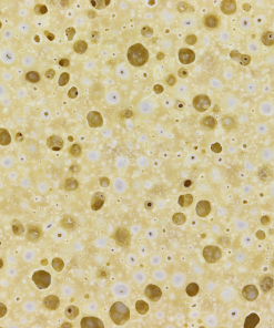 buy Animal Face Crumble online