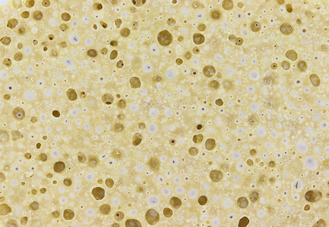 Animal Face Crumble Crumble Animal Face Crumble Animal Face Crumble Crumble Animal Face Crumble