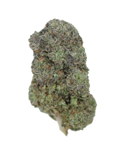 buy Jokerz online