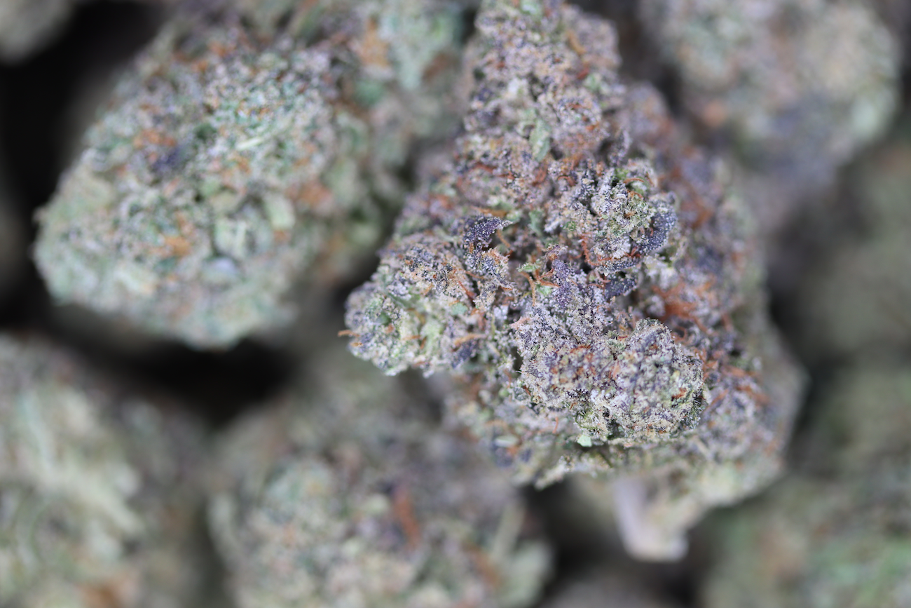 Jokerz All Strains anxiety Jokerz All Strains anxiety