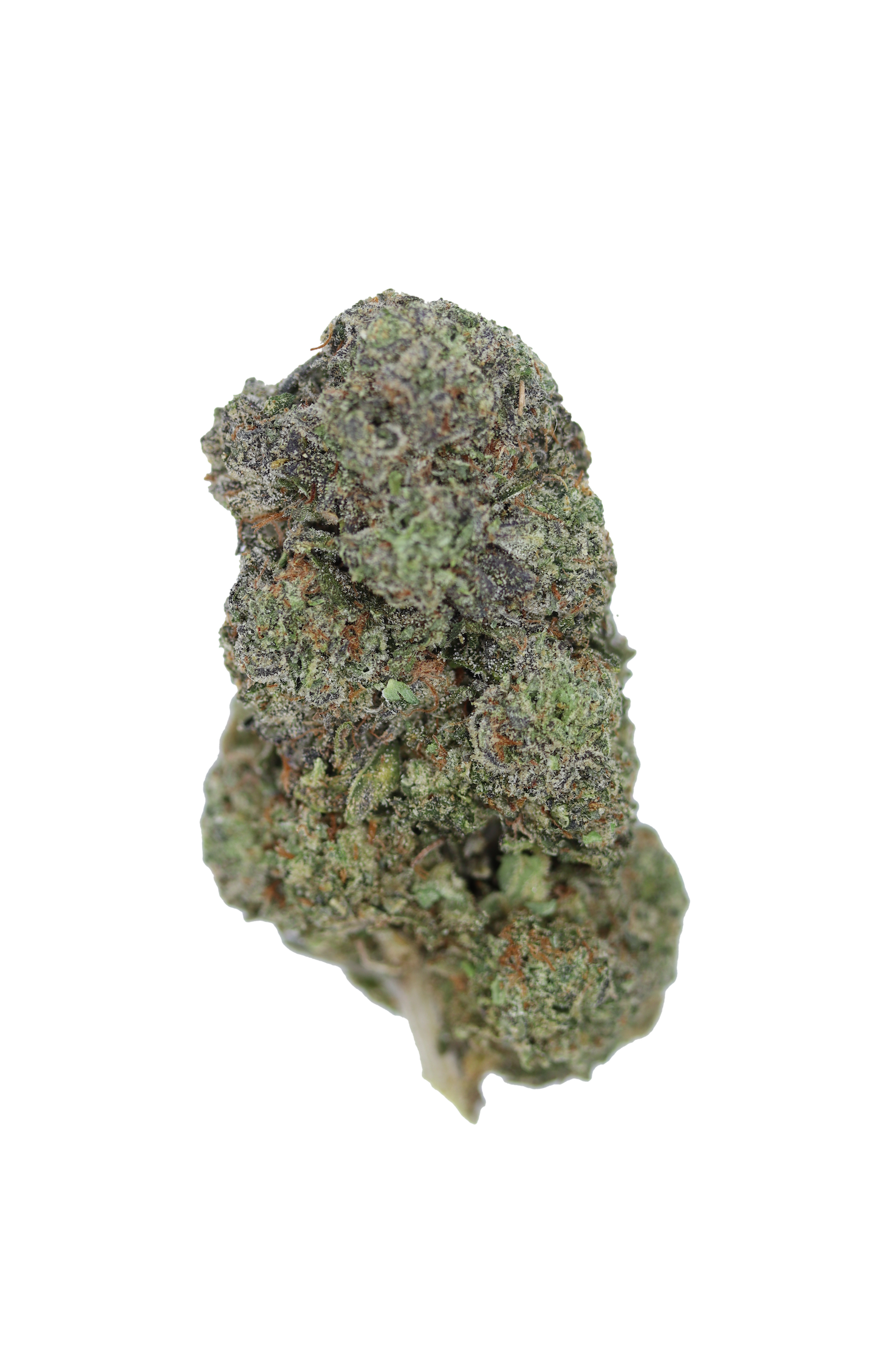 Jokerz All Strains anxiety Jokerz All Strains anxiety