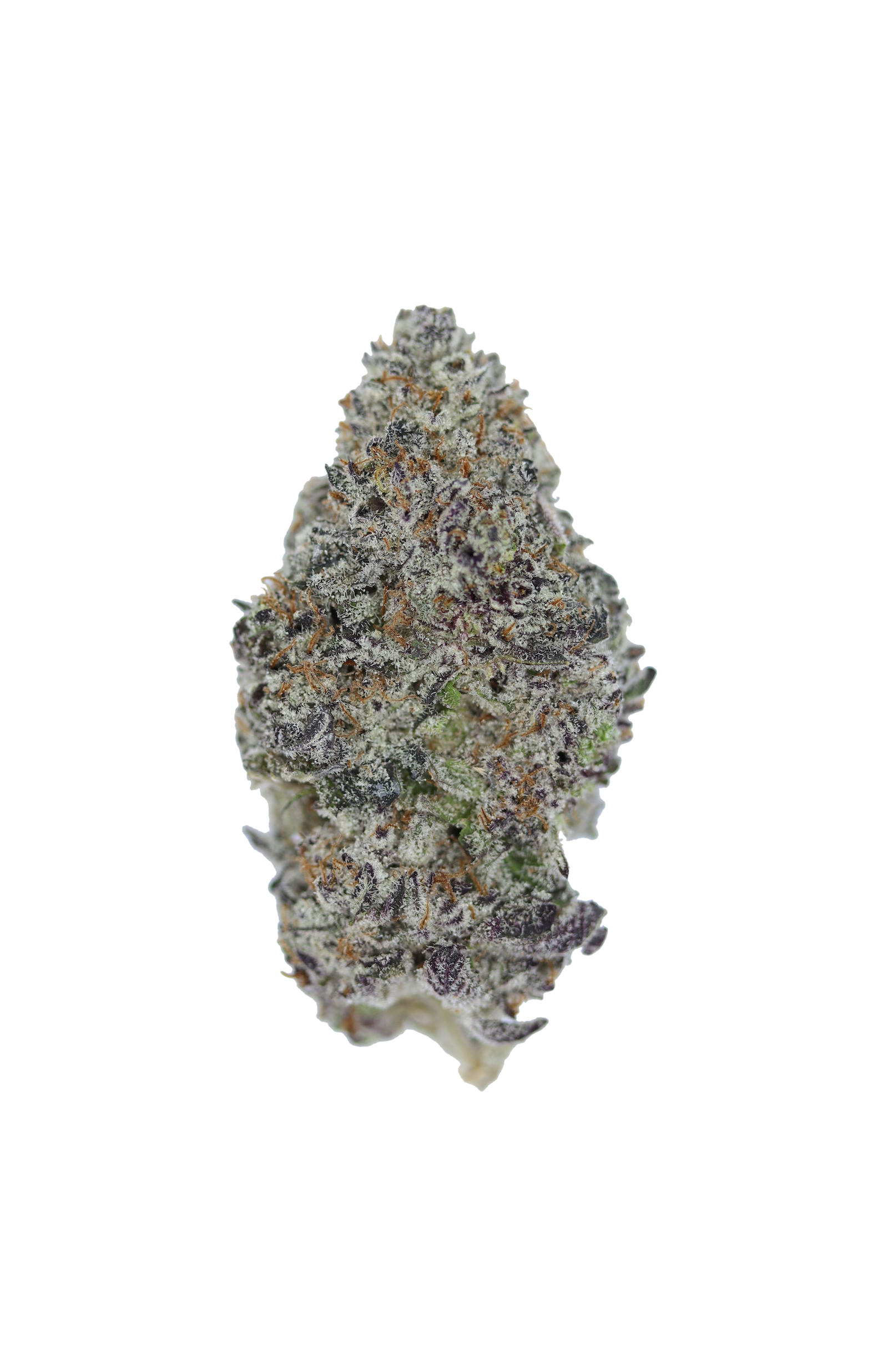 Oreoz Indica anxiety Oreoz Indica anxiety