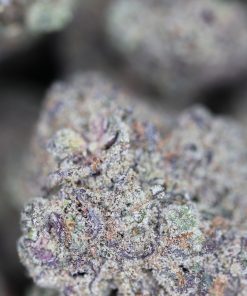 buy Pineapple God online