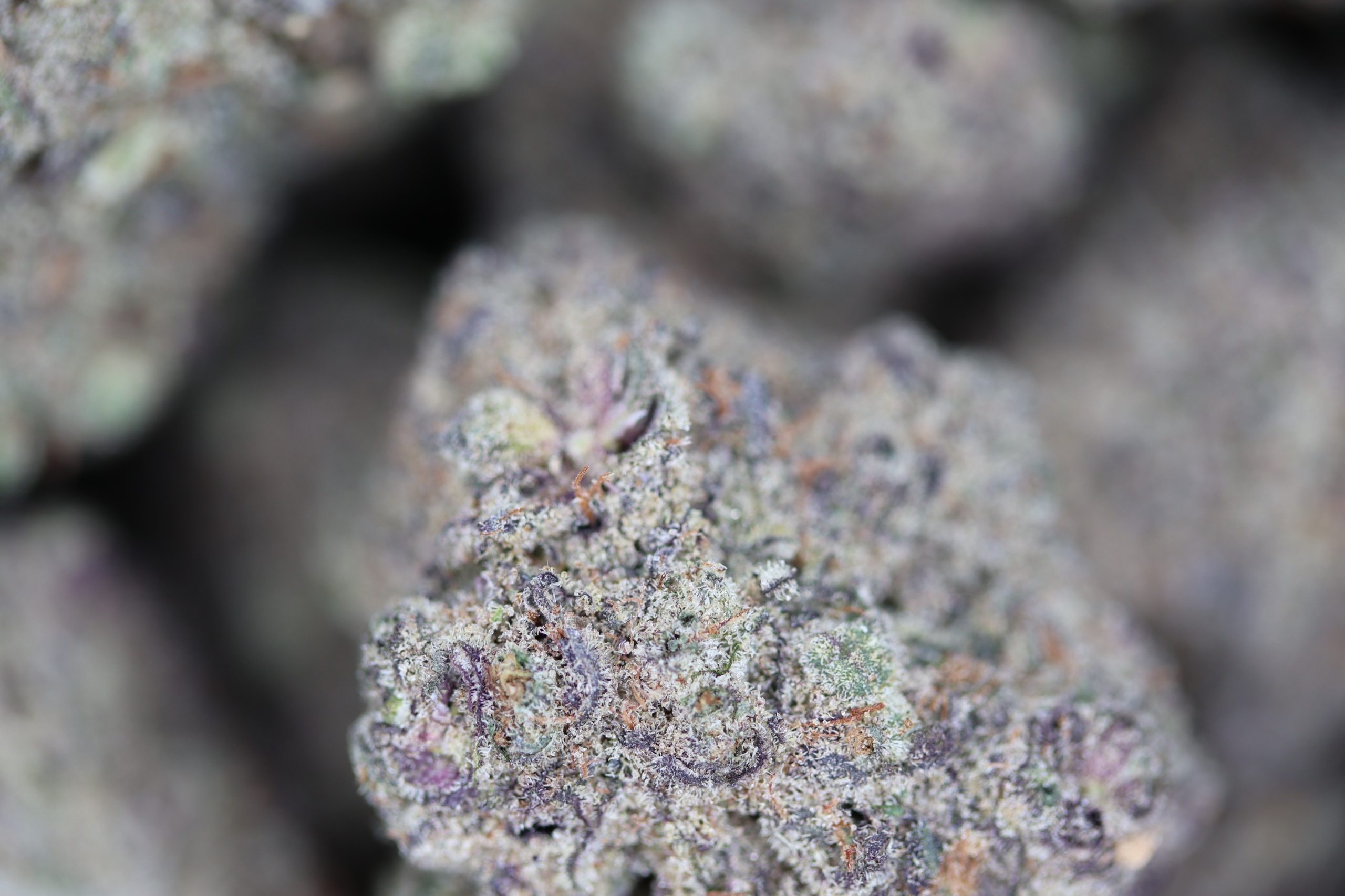 Pineapple God All Strains Anxiety Reduction Pineapple God All Strains Anxiety Reduction