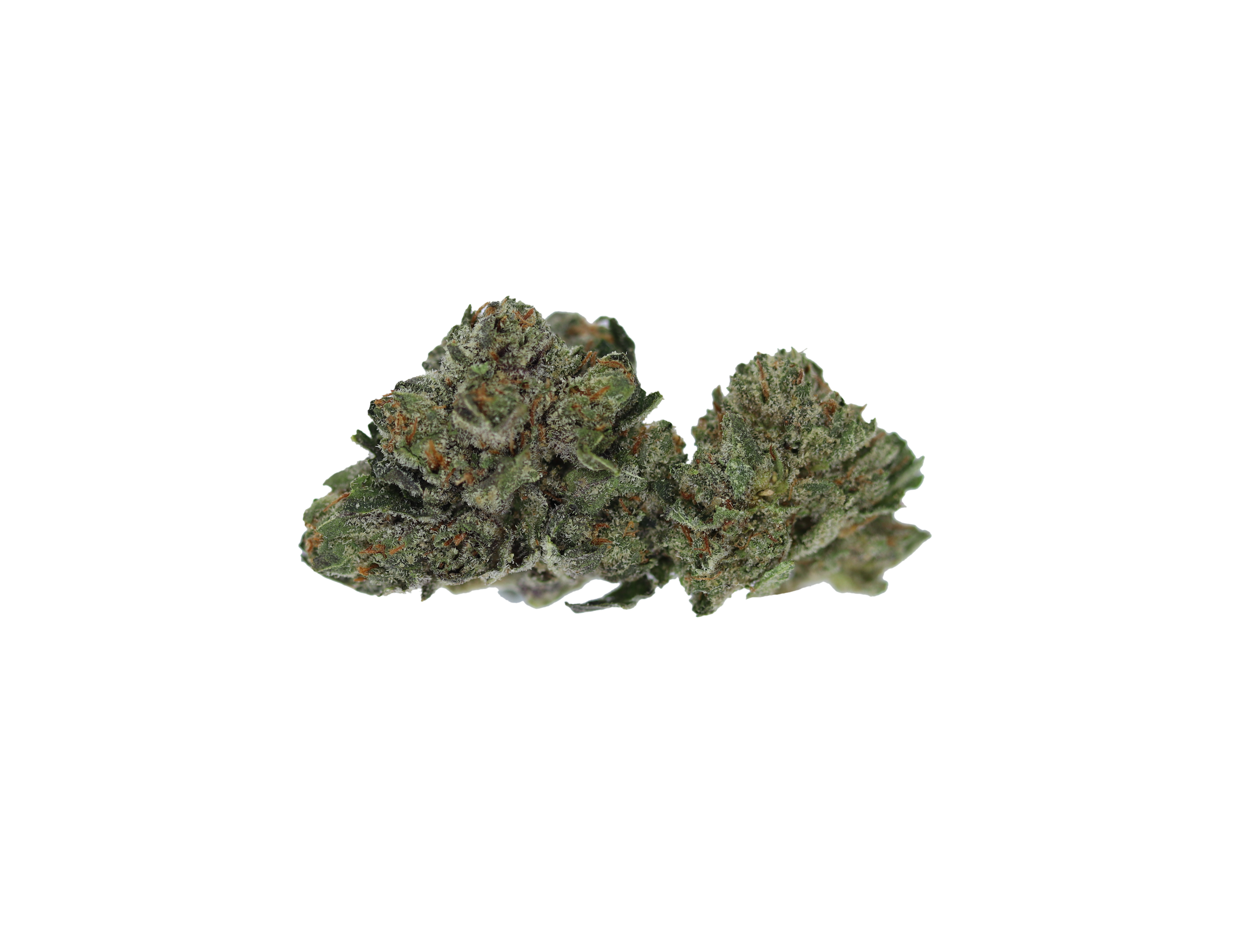 El Muerte Smalls (1/2lb) Wholesale Flower Anxiety Relief El Muerte Smalls (1/2lb) Wholesale Flower Anxiety Relief