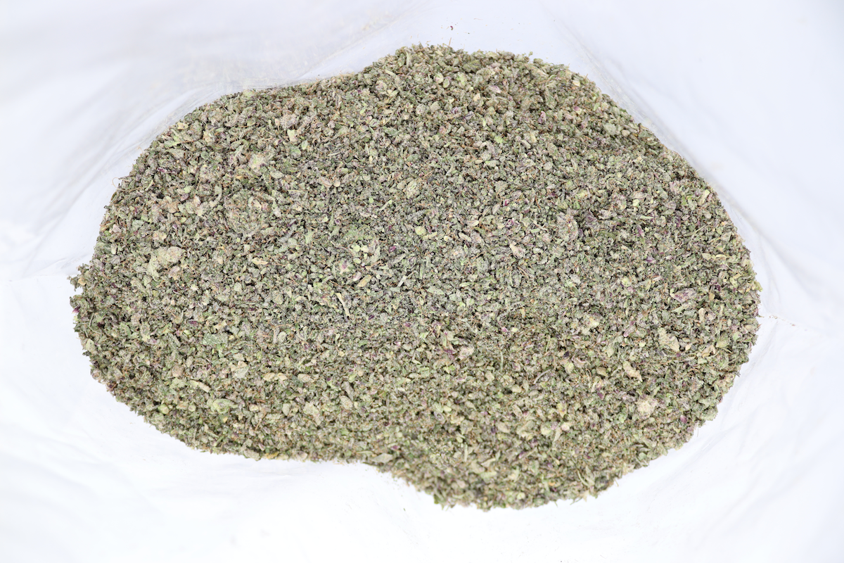 Blackberry Shake (1lb) Wholesale Shake/Kief Blackberry Shake Bulk Blackberry Shake (1lb) Wholesale Shake/Kief Blackberry Shake Bulk