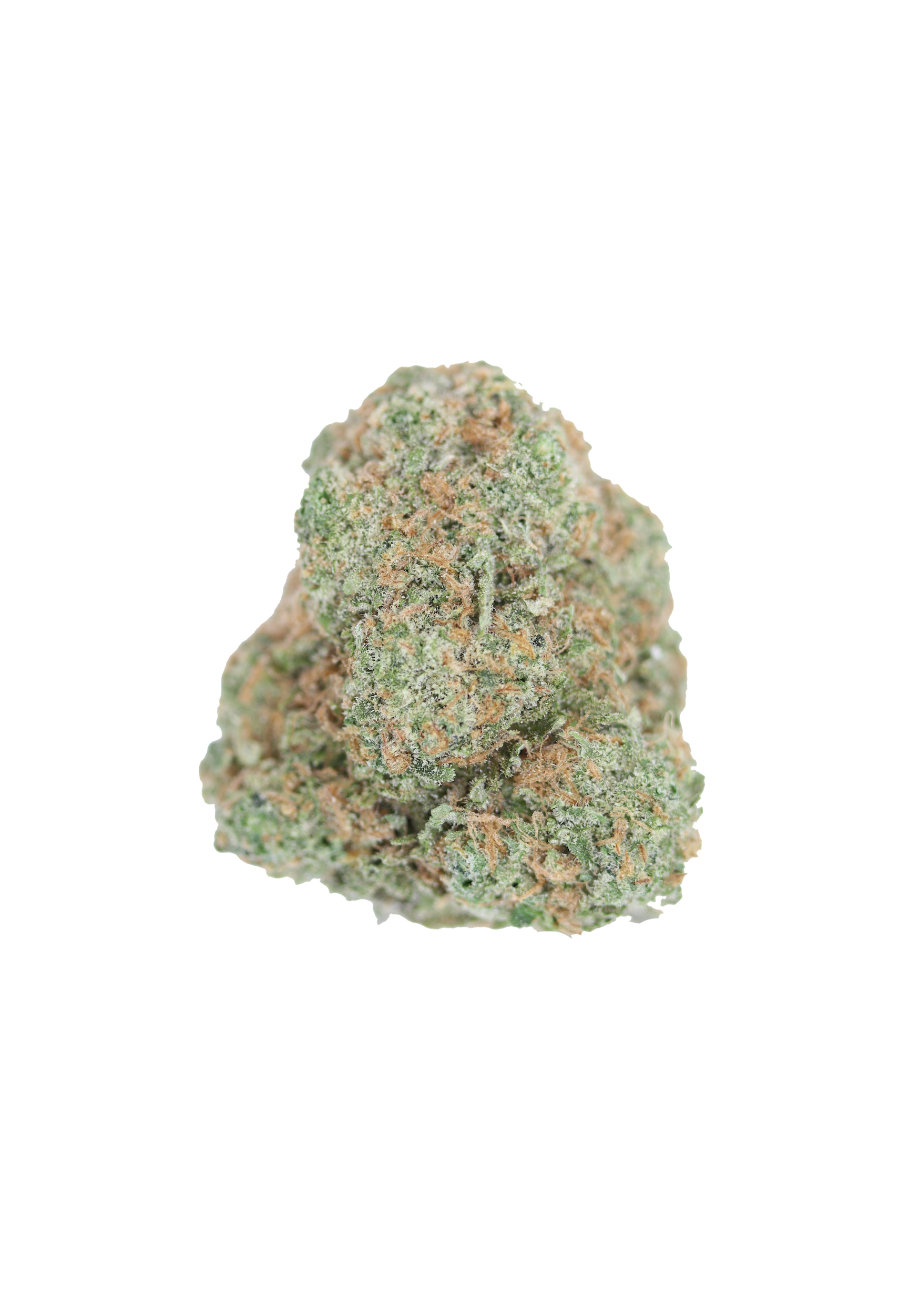 Cannalope Haze Sativa Cannabis Flower Cannalope Haze Sativa Cannabis Flower