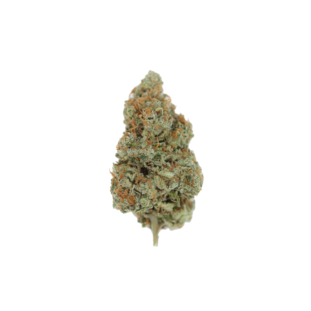 Congolese (1/2lb) Wholesale Flower anxiety Congolese (1/2lb) Wholesale Flower anxiety