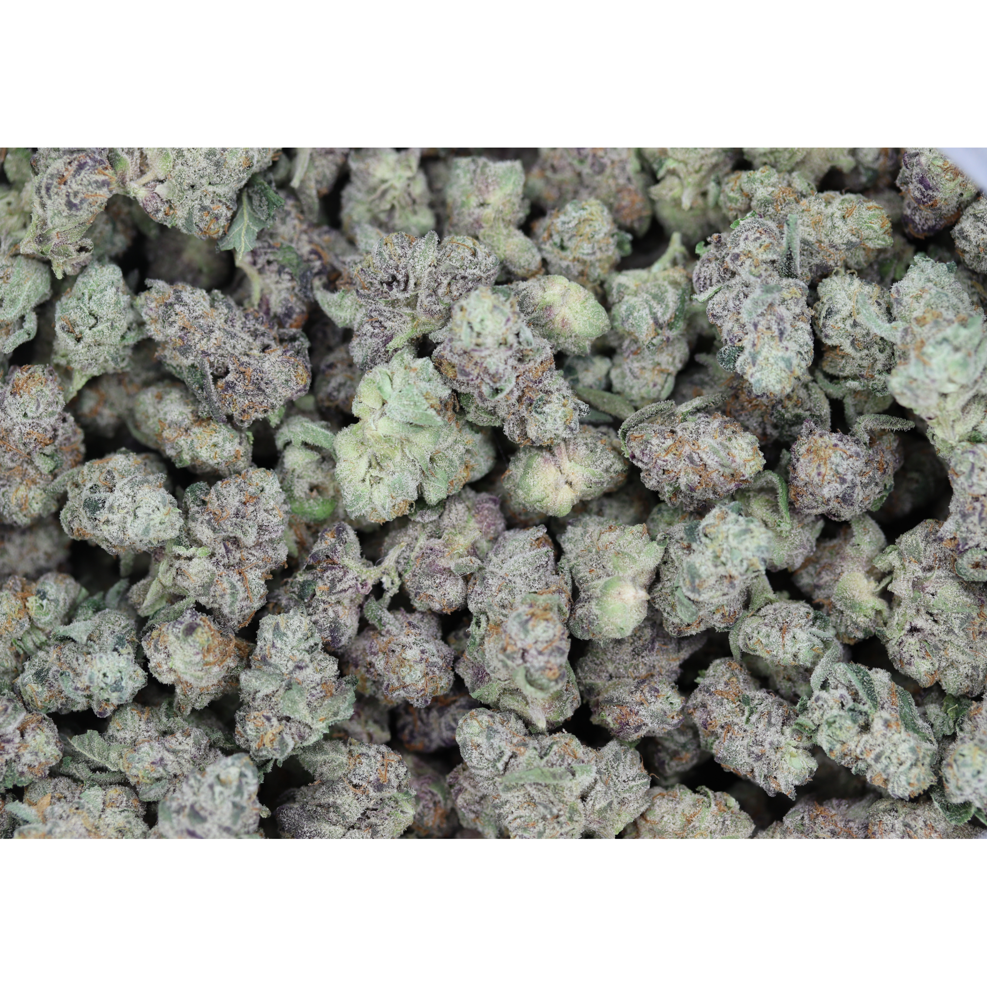Frumpz Smalls (1/2lb) Bulk Berry Frumpz Smalls (1/2lb) Bulk Berry