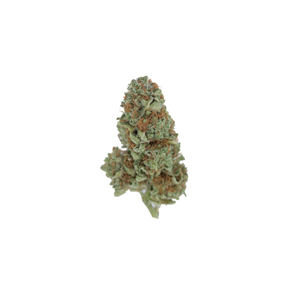 Lemon Haze (1/2lb) Wholesale Flower Cannabis Flower Lemon Haze (1/2lb) Wholesale Flower Cannabis Flower