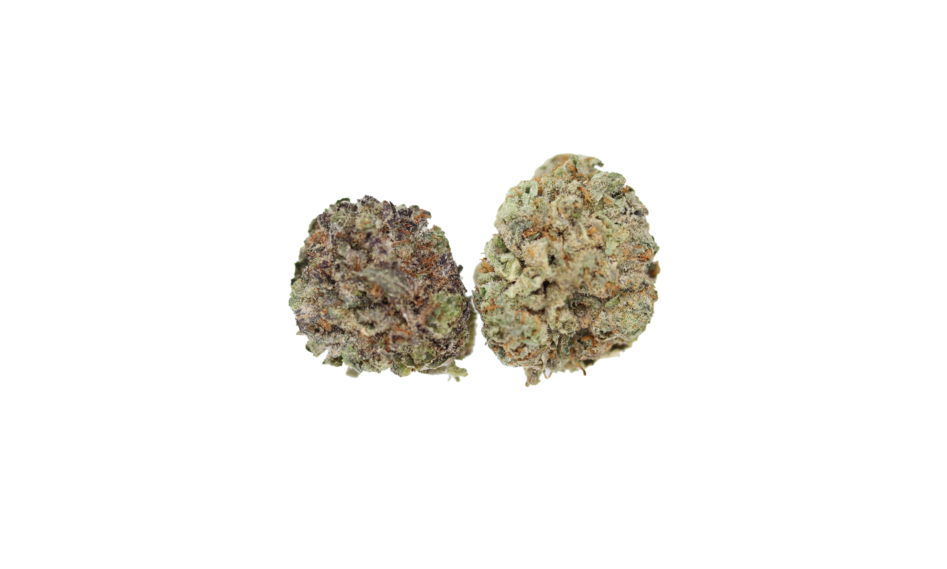 Pink Lemonade Smalls Hybrid Anxiety Reduction Pink Lemonade Smalls Hybrid Anxiety Reduction