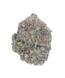 buy Roadkill Skunk online