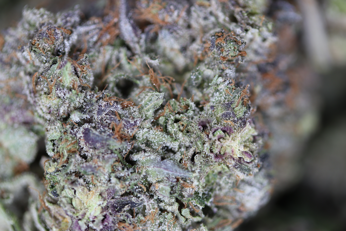 Roadkill Skunk Indica Cannabis Flower Roadkill Skunk Indica Cannabis Flower