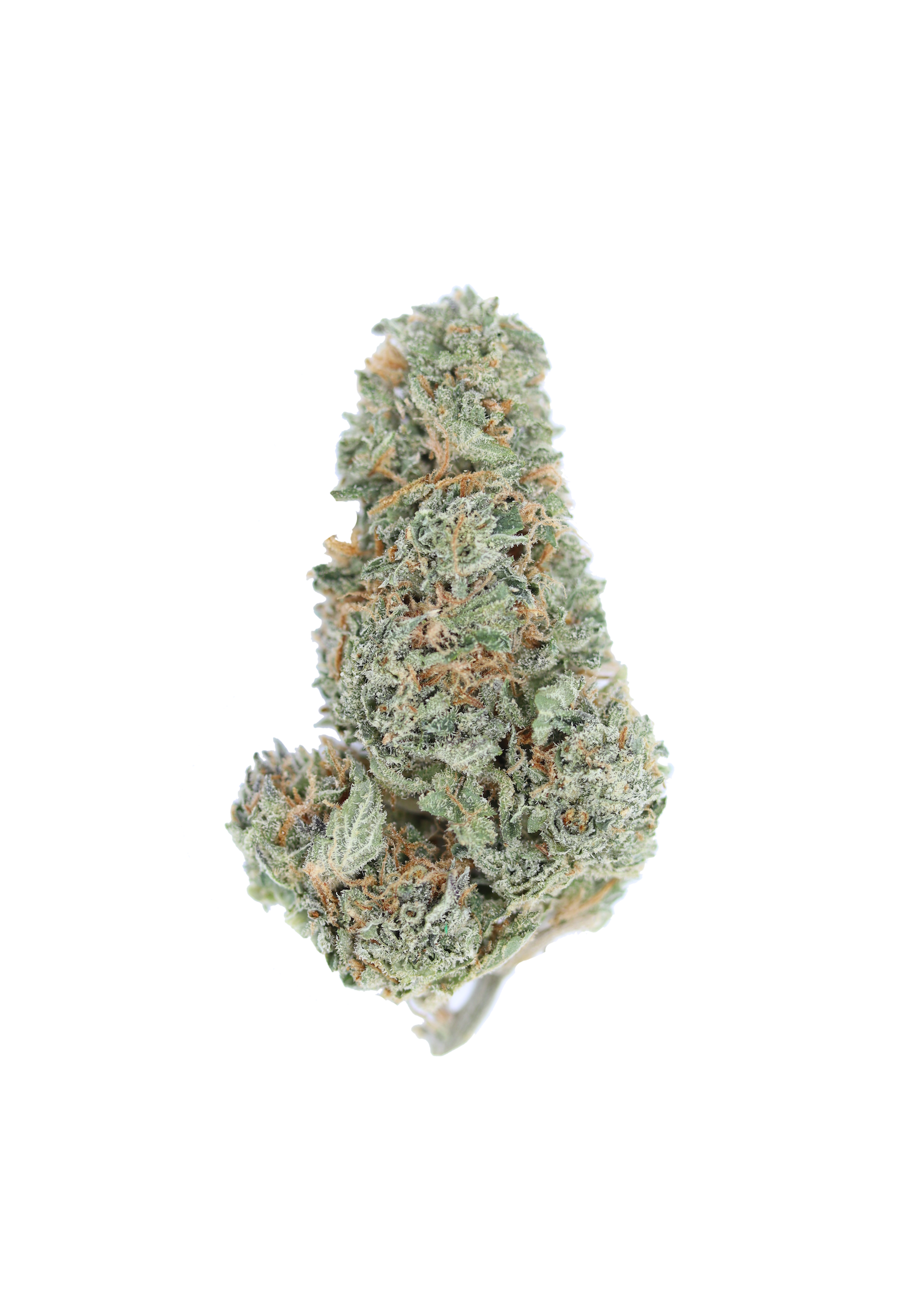Runtz (1/2lb) Wholesale Flower Cannabis Flower Runtz (1/2lb) Wholesale Flower Cannabis Flower