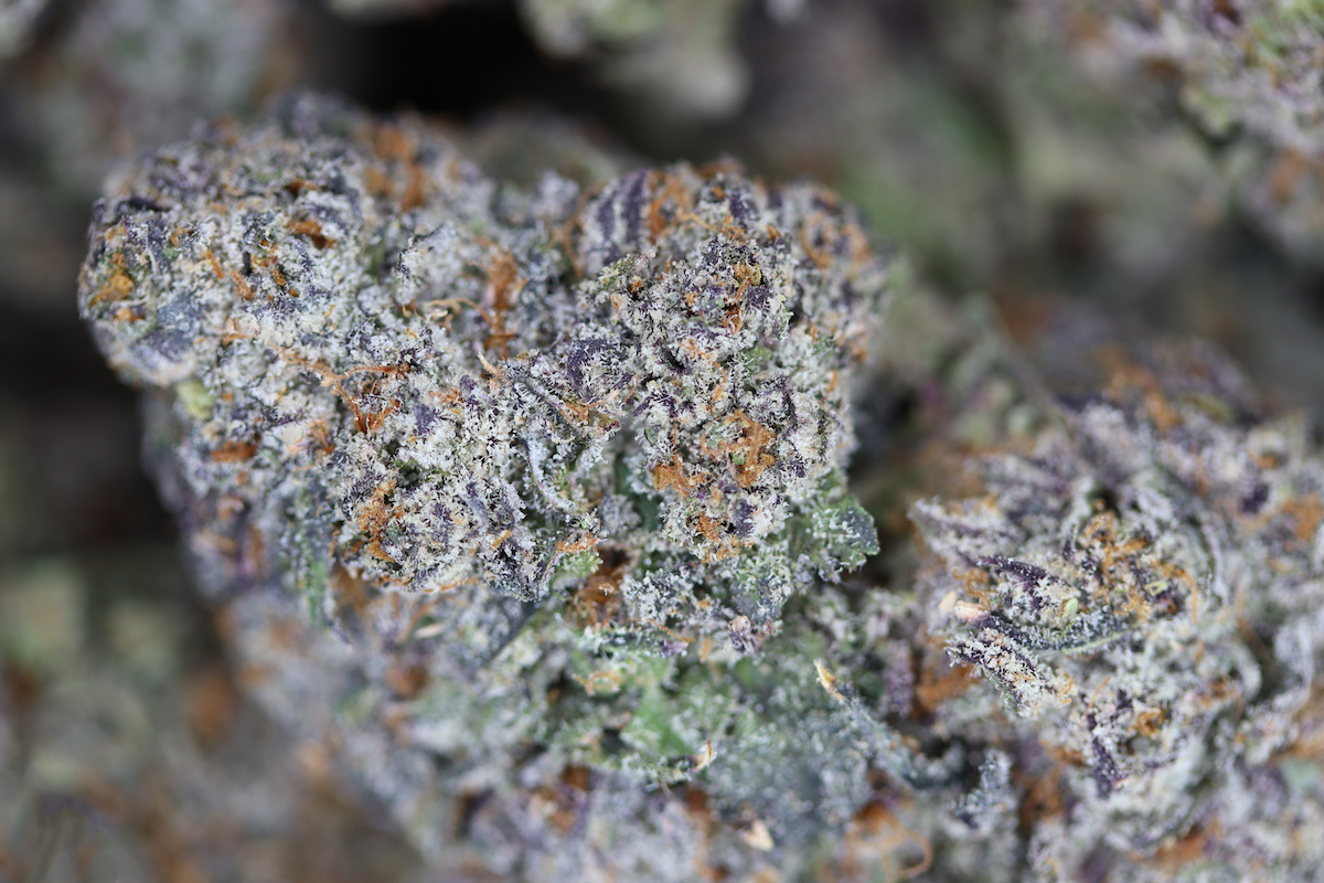 Island Exotics – Snackz Hybrid Anxiety Reduction Island Exotics – Snackz Hybrid Anxiety Reduction